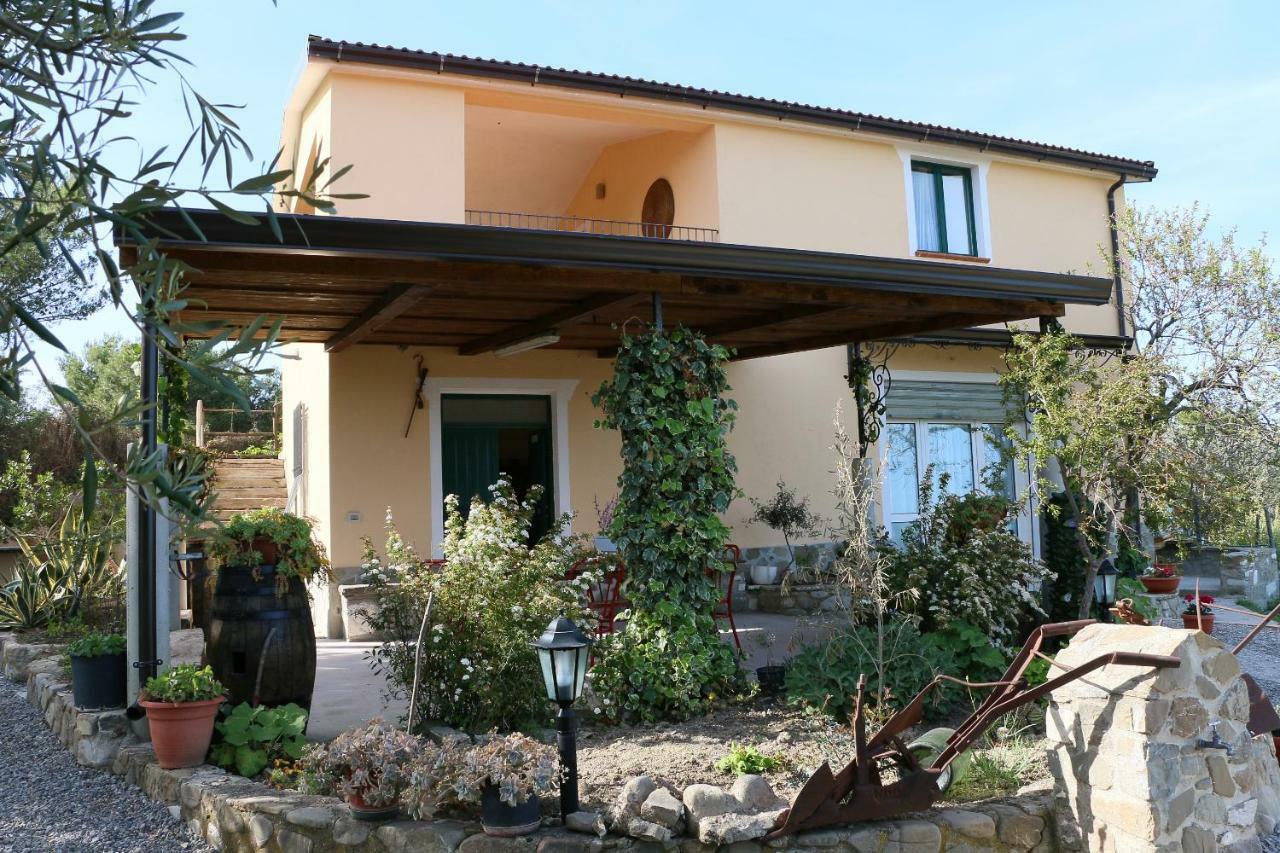 B&B Il Vigneto Trebisacce Bagian luar foto