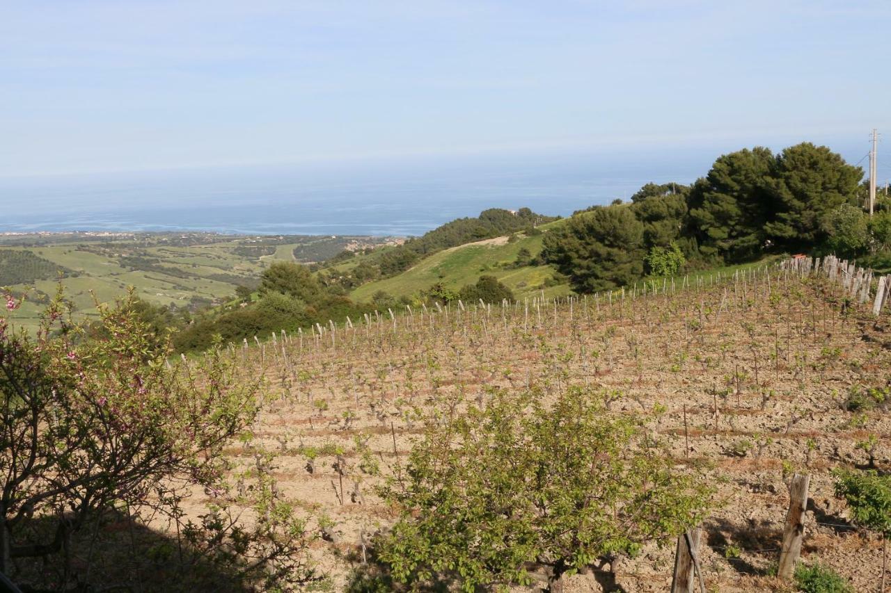 B&B Il Vigneto Trebisacce Bagian luar foto