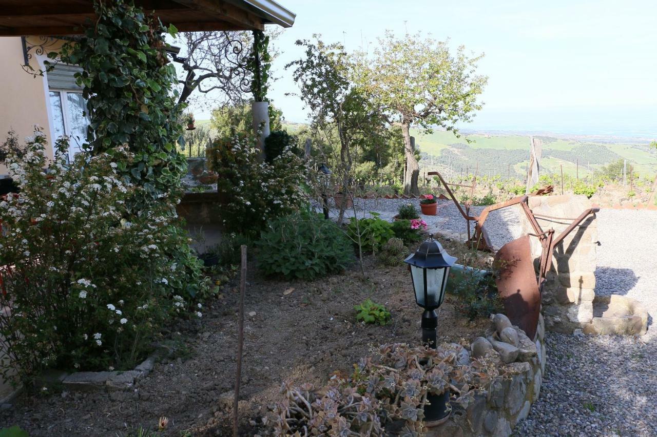 B&B Il Vigneto Trebisacce Bagian luar foto